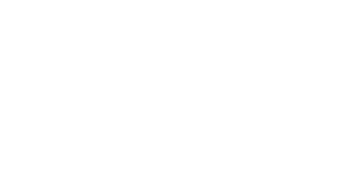 Limousinen Service